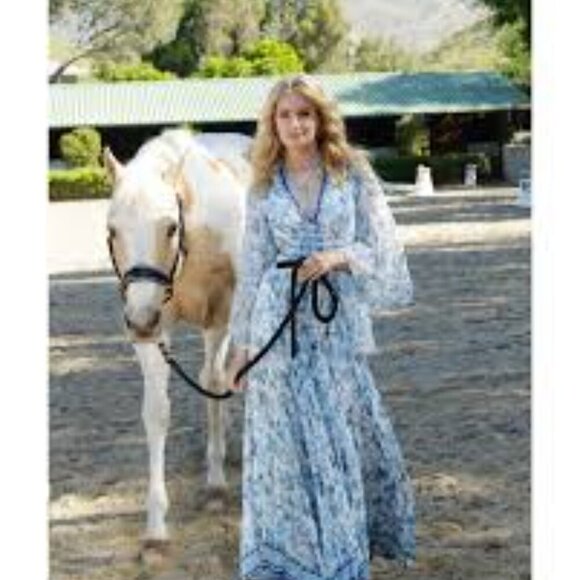 32 - NWT ALICE + OLIVIA SION SUNBURST MAXI DRESS - Picture 8 of 9